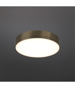 Светильник настенно-потолочныйAploytAPL.0114.29.24-foto2