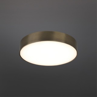 Светильник настенно-потолочныйAploytAPL.0114.29.24-foto2