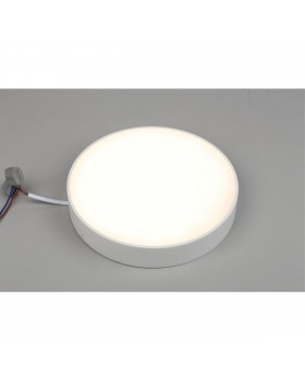 Светильник настенно-потолочныйAploytAPL.0113.09.24-foto3