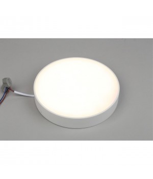 Светильник настенно-потолочныйAploytAPL.0113.09.24-foto3