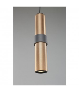 Светильник подвеснойAploytAPL.614.16.01-foto3