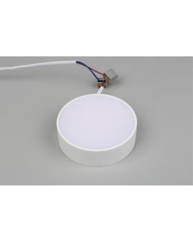 Светильник настенно-потолочныйAploytAPL.0114.09.12-foto4