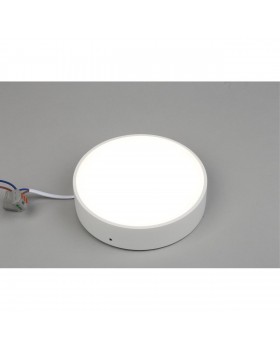 Светильник настенно-потолочныйAploytAPL.0114.09.18-foto3