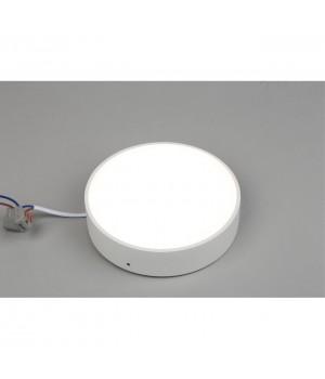 Светильник настенно-потолочныйAploytAPL.0114.09.18-foto3