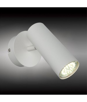 Светильник настенный (Бра)AploytAPL.004.01.01-foto2