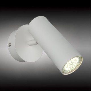 Светильник настенный (Бра)AploytAPL.004.01.01-foto2