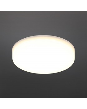 Светильник встраиваемый-накладнойAploytAPL.0073.09.10-foto2