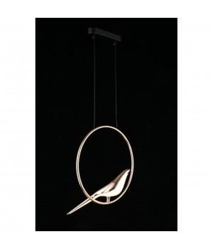 Светильник подвеснойAploytAPL.822.06.10-foto8