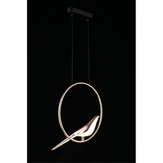 Светильник подвеснойAploytAPL.822.06.10-foto8