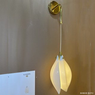 Бра Crystal Lux FLOWERS AP1-foto6