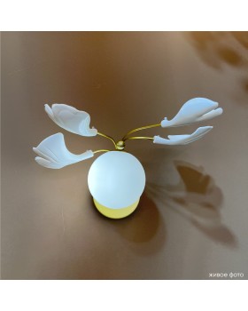 Бра Crystal Lux COLIBRI AP1 GOLD-foto4