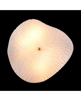 Бра Crystal Lux CONTESSA AP2.2-foto4