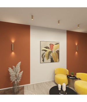 DK5022-SG Настенный светильник, IP20, до 15 Вт, LED, 2xGU10, матовое золото, алюминий-foto4