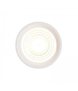 DK3000-5W Светодиодный модуль-foto6