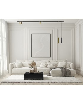 DK8010-BG Акцентный светильник SMART SPOT 9W DIM 3000K-6000K, матовое золото с черным-foto4