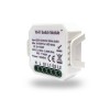 RL1002-SM Двухканальное Wi-Fi реле-выключатель 2 x 1150 Вт / 2 x 100 Вт для LED