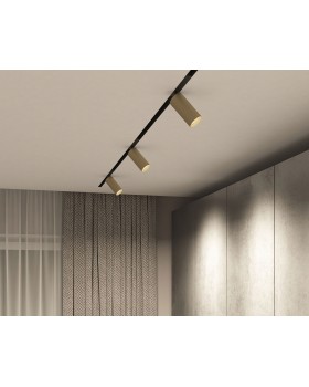 DK8020-BG Акцентный светильник SMART SPOT 20W DIM 3000K-6000K, матовое золото с черным-foto6