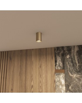 DK2050-SG Накладной светильник, IP 20, 15 Вт, GU5.3, матовое золото, алюминий-foto5