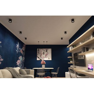 DK3090-BK+WH Светильник накладной IP 20, 10 Вт, GU5.3, LED, черный/белый, пластик-foto3