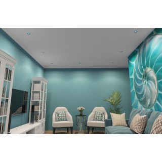 DK3061-WH+СY Встраиваемый светильник, IP 20, 10 Вт, GU5.3, LED, белый/голубой, пластик-foto2