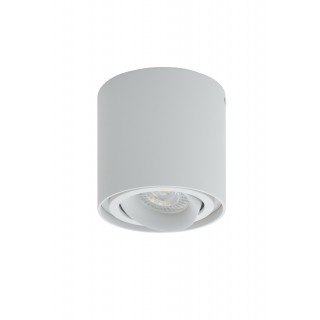 DK2001-WH Светильник накладной IP 20, 50 Вт, GU10, белый, алюминий-foto2