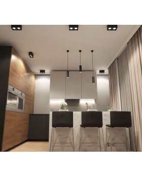 DK3085-BK+WH Светильник накладной IP 20, 10 Вт, GU5.3, LED, черный/белый, пластик-foto2