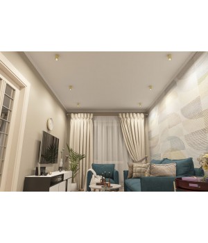 DK2050-BS Накладной светильник, IP 20, 50 Вт, GU10, латунь, алюминий-foto4