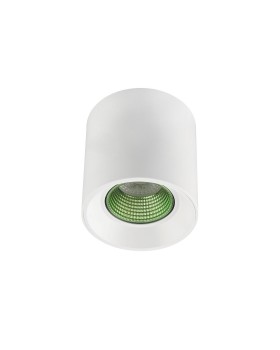 DK3090-WH+GR Светильник накладной IP 20, 10 Вт, GU5.3, LED, белый/зеленый, пластик