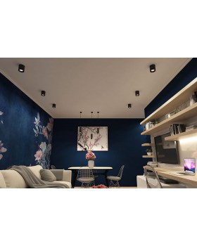 DK3090-BK+WH Светильник накладной IP 20, 10 Вт, GU5.3, LED, черный/белый, пластик-foto2