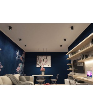 DK3090-BK+WH Светильник накладной IP 20, 10 Вт, GU5.3, LED, черный/белый, пластик-foto2