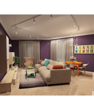 DK6002-WH Трековый светильник IP 20, 50 Вт, GU10, белый, алюминий-foto5