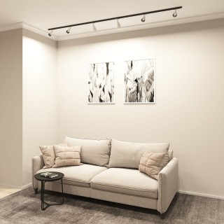 DK6050-BW+BK Трековый светильник IP 20, 15 Вт, GU10, черный с белым, алюминий, пластик-foto4