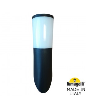 Светильник уличный настенный FUMAGALLI AMELIA-FS DR2.571.000.AYF1R-foto2