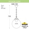 Подвесной уличный светильник FUMAGALLI SICHEM/G300. G30.120.000.WZF1R