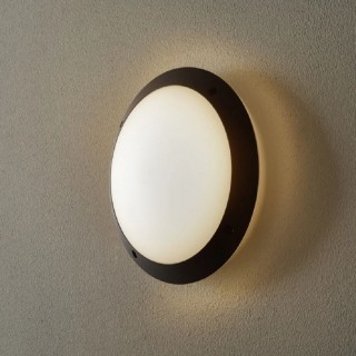 Уличное бра FUMAGALLI LUCIA BACKLIT 1R3.000.000.AYE27.CL1-foto2