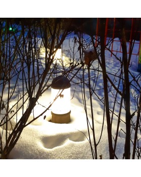 Садовый светильник-столбик FUMAGALLI SAURO 500 D15.553.000.AYF1R-foto15