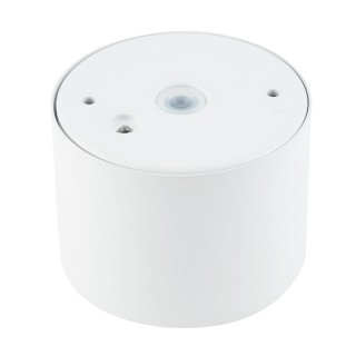 Потолочный cветильник Nowodvorski Bol 10483-foto4