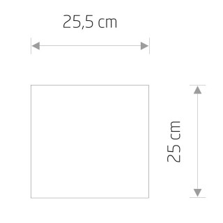 Плафон Nowodvorski Cameleon Petit A 8343-foto3