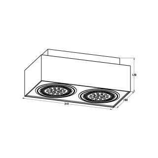 Потолочный светильник Zumaline BOXY CL 2 20075-WH-foto2