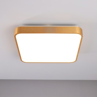 Потолочный светодиодный светильник Zumaline SIERRA 12100006-GD-foto2