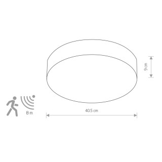 Потолочный cветильник Nowodvorski Arena 10181-foto2
