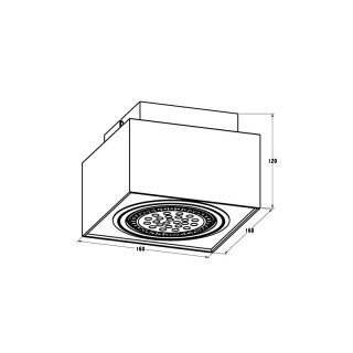 Потолочный светильник Zumaline BOXY CL 1 20074-WH-foto2