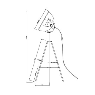 Торшер Zumaline ANTENNE TS-090522F-BK-foto3