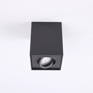 Потолочный светильник Zumaline QUADRO 89200-BK-foto3