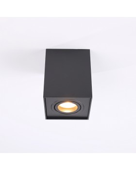 Потолочный светильник Zumaline QUADRO 89200-BK-foto2