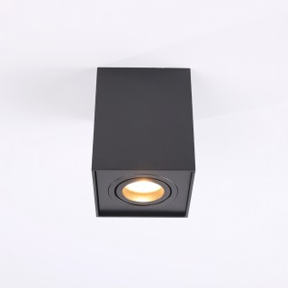 Потолочный светильник Zumaline QUADRO 89200-BK-foto2