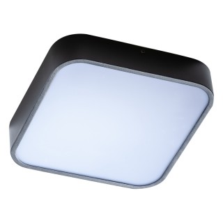 Накладной светильник Azzardo Lucie 43 AZ4147-foto3