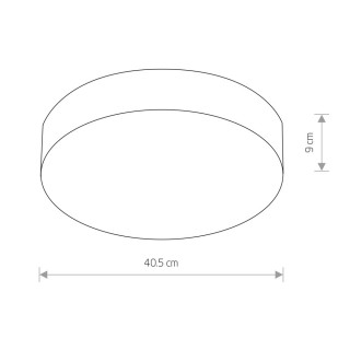 Потолочный cветильник Nowodvorski Arena 10183-foto2