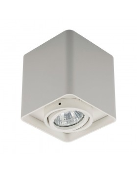 Потолочный светильник Zumaline QUADRY SL 1  20039-WH