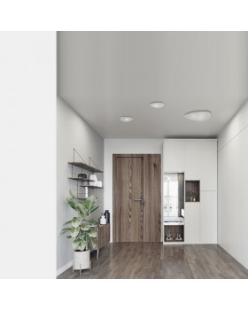 Потолочный cветильник Nowodvorski Organic 8304-foto3